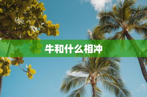 牛和什么相冲