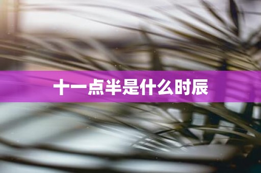 十一点半是什么时辰