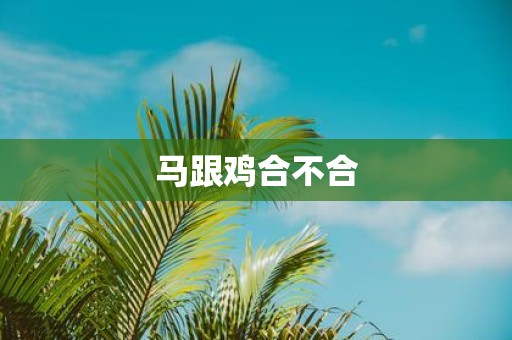马跟鸡合不合