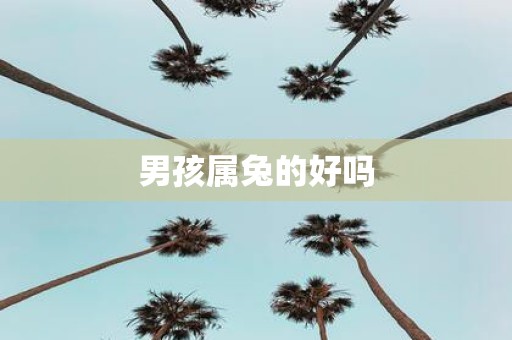 男孩属兔的好吗