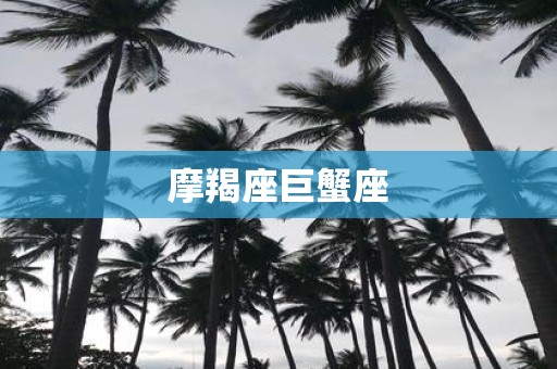 摩羯座巨蟹座
