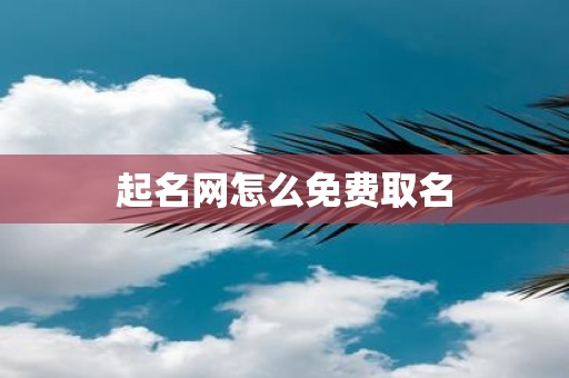 起名网怎么免费取名