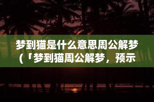 梦到猫是什么意思周公解梦(「梦到猫周公解梦，预示什么？！」)