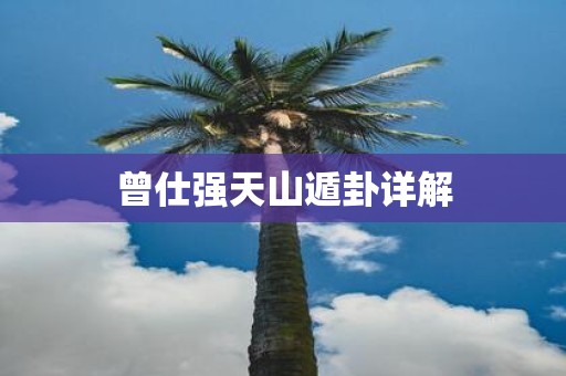 曾仕强天山遁卦详解