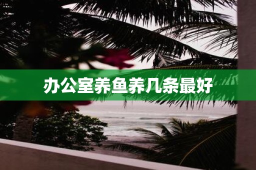 办公室养鱼养几条最好