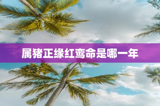 属猪正缘红鸾命是哪一年