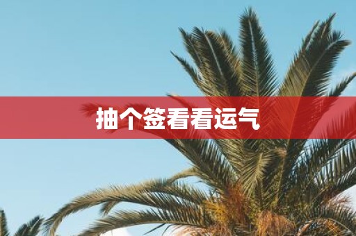 抽个签看看运气