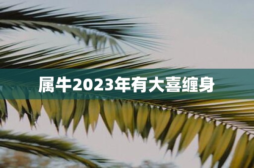 属牛2025年有大喜缠身