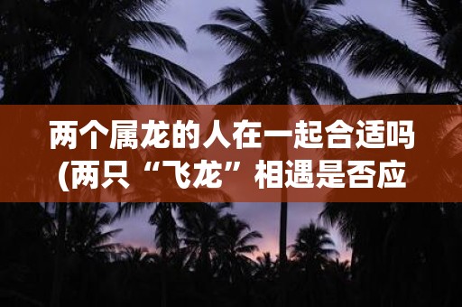 两个属龙的人在一起合适吗(两只“飞龙”相遇是否应该牵手？)