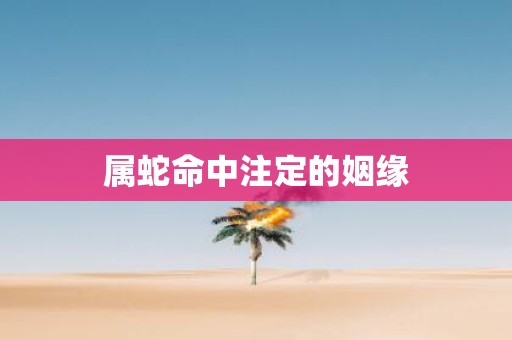 属蛇命中注定的姻缘