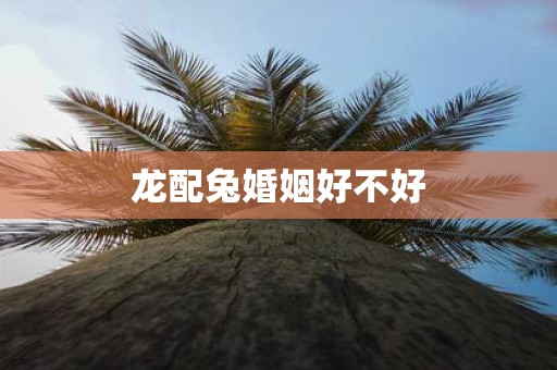 龙配兔婚姻好不好