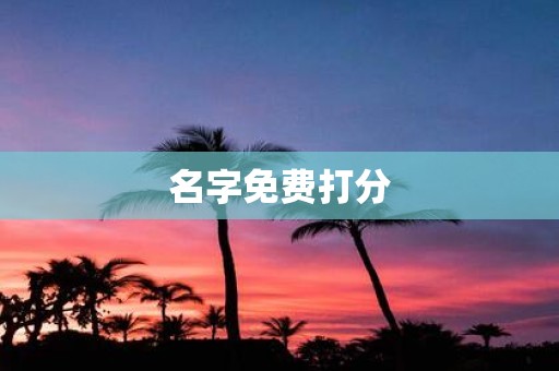 名字免费打分