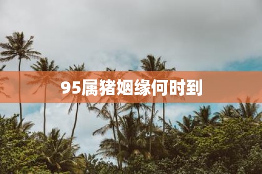 95属猪姻缘何时到