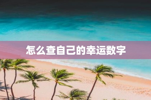 怎么查自己的幸运数字