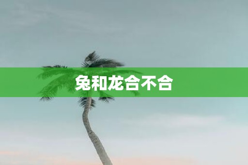 兔和龙合不合