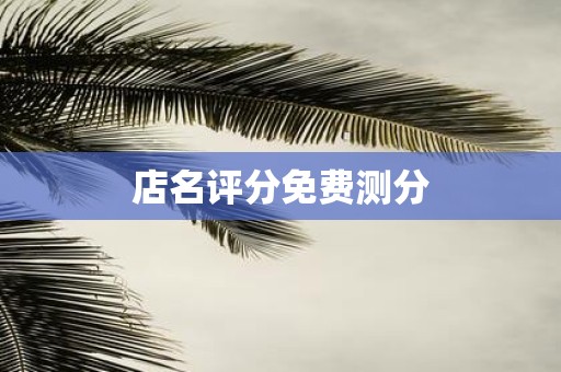 店名评分免费测分