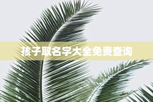 孩子取名字大全免费查询