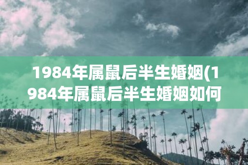 1984年属鼠后半生婚姻(1984年属鼠后半生婚姻如何命运多舛？)