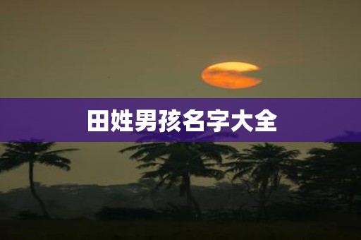 田姓男孩名字大全