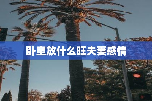 卧室放什么旺夫妻感情