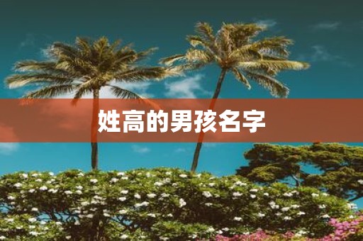姓高的男孩名字