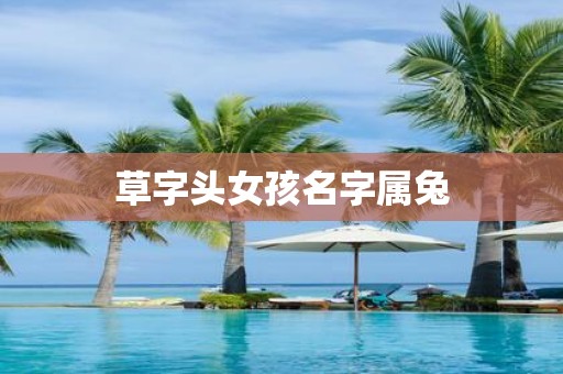 草字头女孩名字属兔