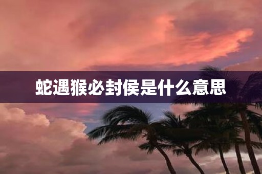 蛇遇猴必封侯是什么意思