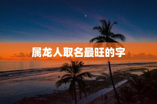 属龙人取名最旺的字