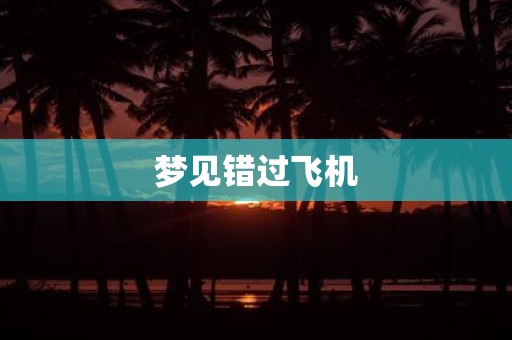 梦见错过飞机