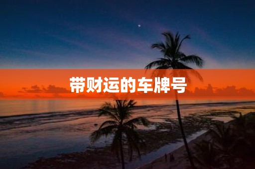 带财运的车牌号