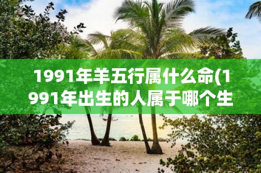 1991年羊五行属什么命(1991年出生的人属于哪个生肖，五行属性是什么？)