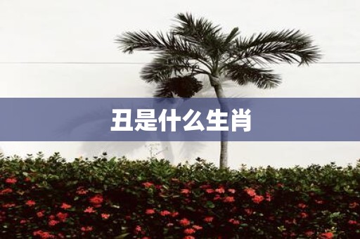 丑是什么生肖