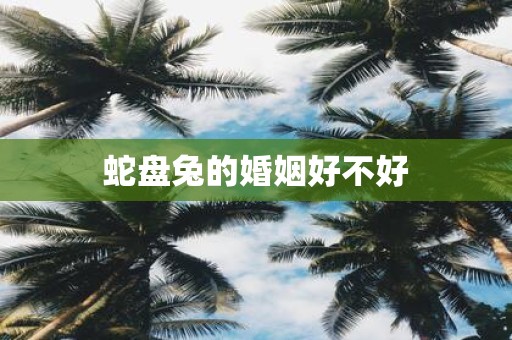 蛇盘兔的婚姻好不好