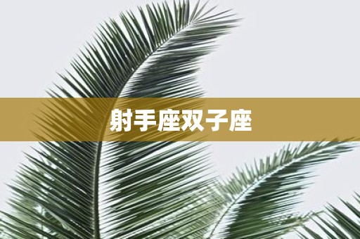 射手座双子座