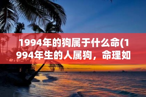 1994年的狗属于什么命(1994年生的人属狗，命理如何？)