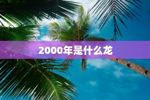 2000年是什么龙