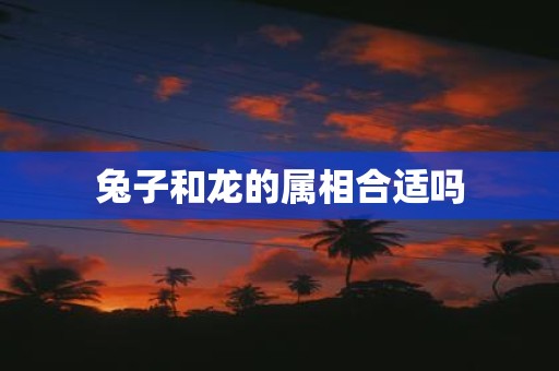 兔子和龙的属相合适吗