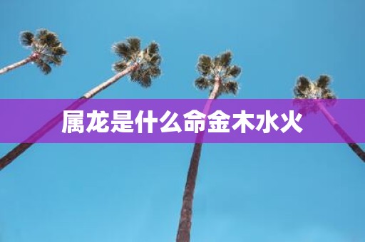 属龙是什么命金木水火