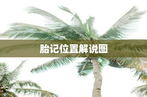胎记位置解说图