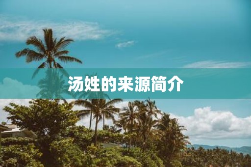 汤姓的来源简介