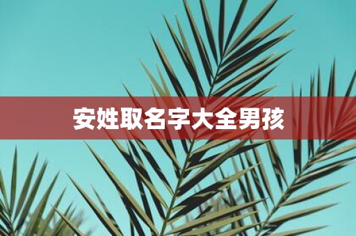 安姓取名字大全男孩
