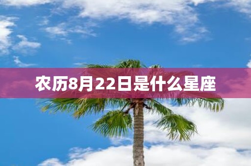 农历8月22日是什么星座