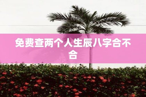 免费查两个人生辰八字合不合