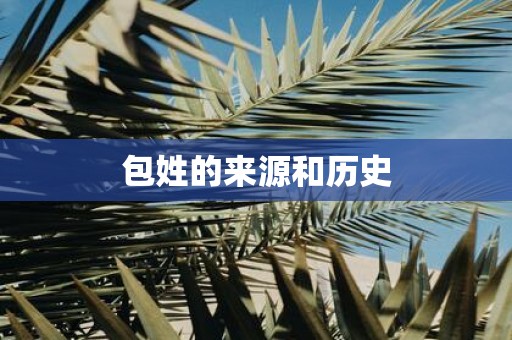 包姓的来源和历史