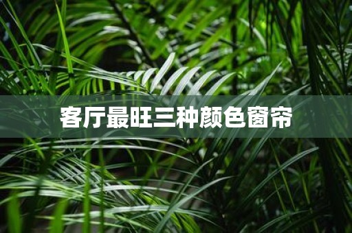 客厅最旺三种颜色窗帘