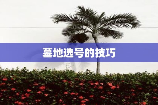 墓地选号的技巧