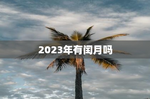 2025年有闰月吗