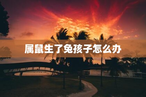 属鼠生了兔孩子怎么办