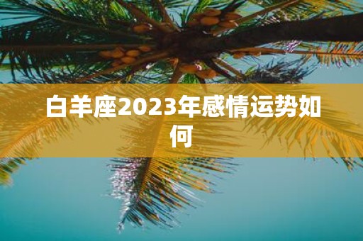 白羊座2025年感情运势如何
