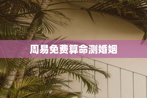 周易免费算命测婚姻